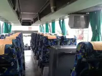 Невинномысск - Санкт-Петербург (СПб, Питер) автобус, фотография 2