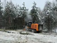 Услуги гусеничного с широкой гусянкой мульчера, фотография 8