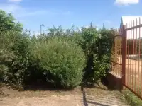 Субботник и прополка на садовом участке