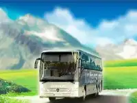 Автобусом на море