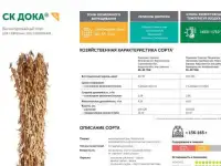 Семена сои селекции Компании 
