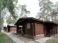 Отдых среди сосен на Волге