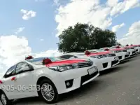 Свадебный кортеж из новых авто. Шикарные украшения для машин. Весь Волгоград., фотография 10