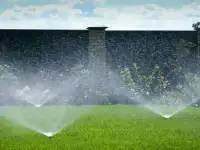 Газон рулонный