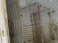 Продам рабочий холодильник днепр