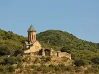 Дманиси болниси