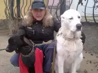 Кинолог инструктор по рабочим качествам все виды дрессировки собак