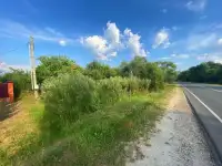 Участок в деревне Щеголево 15 соток, район, деревня Щеголёво