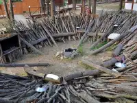 Знакомство нового формата. Он, Она и звёзды.