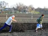Вспашка культивация земли, фотография 3