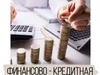 Финансово – экономическая экспертиза