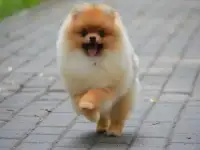 Очаровашкин! , фотография 2