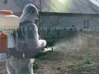 Уничтожение комаров на участке