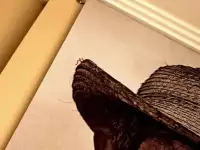 Плинтус потолочный