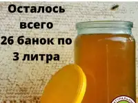 Мёд из фацелии и липы башкирский, фотография 3