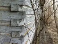 Куплю древесину б/у, фотография 2