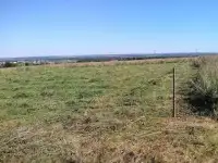 Продам земельный участок в дер. Бурцево Богородского р-на., фотография 2
