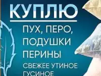 Куплю пух перо б/у подушки перины., фотография 2