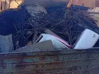 вынос и погрузка мусора