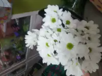 Цветы, фотография 3