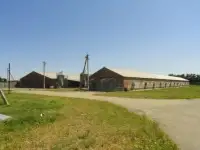 Птицефабрика
