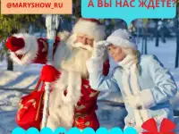 Аниматоры, организация праздника