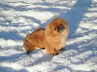 Очаровашки!, фотография 2