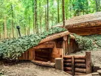 Партнер-инвестор в восстановление партизанского лагеря., фотография 2