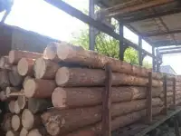 Продам деревообрабатывающую компанию в Челябинске