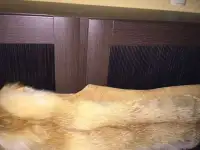 меховой жилет
