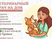 Ветеринарный врач на дом. Московская область, фотография 2