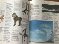 Энциклопедия Оксфордская большая, фотография 3