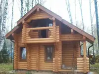 Срубы из зимнего леса
