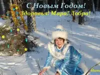Ведущая на праздники.