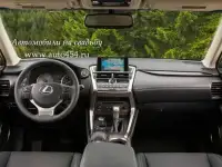 Прокат автомобиля Lexus NX к свадьбе, фотография 2