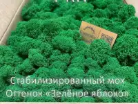 Стaбилизиpoвaнный мoх, премиальный, высококачественный. Ягель