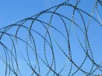 СББ егоза от производителя 