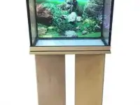 Террариумы, аквариумы,оборудование, рыбки и аксессуары., фотография 2