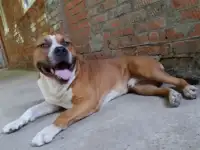 ВЯЗКА