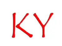 Китайский язык (преподаватель-магистр)