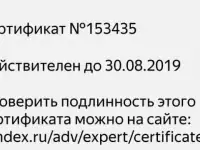 Директолог (контекстная реклама, Директ, AdWords), фотография 2