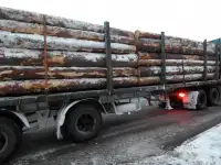 Пиловочник строевой, сосна, ель ГОСТ 9463-88, 24-60 см, фотография 4