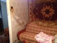Продам дом в Стригино 48,00 м2, Мелиоративная д65 кв1, фотография 4