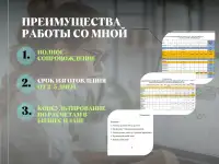 Бизнес план для социального контракта, фотография 6