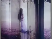 ширмы