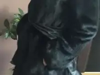 Норковая шуба