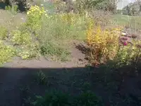 Дача 21 кв,м, на участке 6 сот 20,00 м2, фотография 6