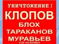Дезинсекция. Уничтожение насекомых.