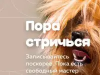 ГрумЛюкс работает с моделями., фотография 2