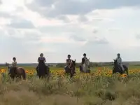 Конно-байдарочный тур 16 и 17 мая. Красный Яр